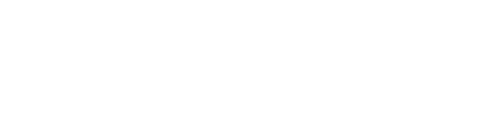 fleraplayer.com